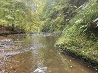 Den of Alyth, near Alyth, a woodland walk that is good for a paddle.