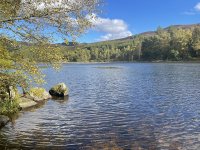 Mill Dam, near Dunkeld, where we often walk (and dogs can swim, if allowed by their human owners)