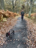 Kinclaven Woods, known for its bluebells but also great for dogwalks, with two fully-enclosed fields.