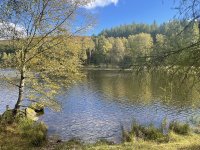 Mill Dam, near Dunkeld, where we often walk (and dogs can swim, if allowed by their human owners)