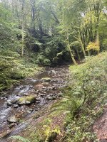 Den of Alyth, near Alyth, a woodland walk that is good for a paddle.